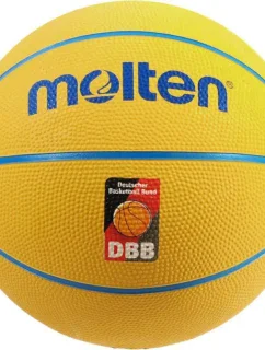 Basketbalová lopta Molten SB4-DBB Light 290G