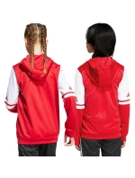 Mikina adidas Squadra 25 Hoodie Jr JD4801