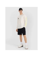 Pánske tričko s potlačou Regular Longsleeve 4F 4FWSS25TLONM392-11S pánske