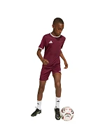 Detský dres adidas Entrada 26 Jersey burgundy JZ2530