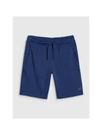 Pánske šortky regular fit SHOM543-031S modré - 4F