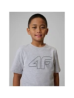 Chlapčenské tričko s potlačou 4F 4FJRSS26TTSHM3599-10S