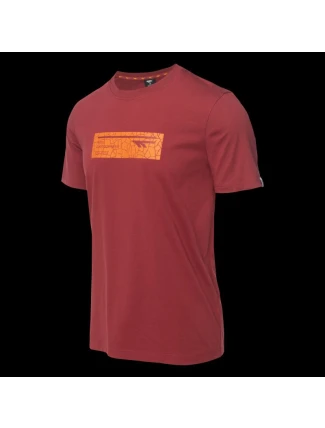 Pánske tričko s krátkym rukávom HAMILONI