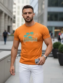 Pánske tričko s klasickou oranžovou potlačou FashionStreet NX5020R
