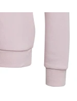 Mikina adidas Big Logo Swt Jr IC6119