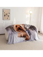 Bavlnená deka Cotton World Touch Animal, Motor 160x200