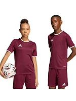 Detský dres adidas Entrada 26 Jersey burgundy JZ2530