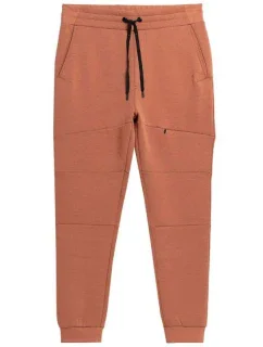 Nohavice 4F M 4FSS23TTROM152 hnedé