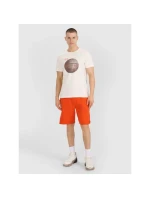 Pánske tričko s potlačou 4F 4FRSS25TTSHM3093-11S pánske