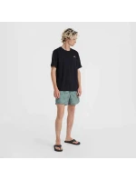 Plavecké šortky O'Neill Mix&Match Cali Print 15'' M 92800613869