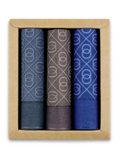 Ega Wipes CH-219 A'3 Men