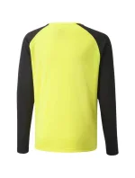 Brankárska mikina Puma teamPacer GK LS Jersey Jr 704939 42