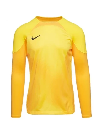 Pánsky brankársky dres Gardien IV JSY M DH7967 719 - Nike