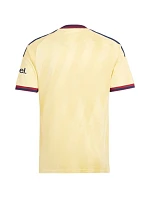 Pánske tričko adidas Arsenal FC 26/27 žlté KQ6512