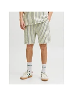 Jack&Jones pánske pruhované šortky JPSTJAIDEN COBA STRIPE JOG SHORTS REG SN 12274413 TEA/STRIPES Jack&Jones pánske pruhované šortky JPSTJAIDEN COBA STRIPE JOG SHORTS REG SN 12274413 TEA/STRIPES
