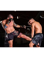 Tréningové rukavice MMA M - Aureos - Valor Series