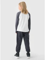 Chlapčenské tepláky 4F