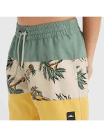 Plavecké šortky O'Neill Mix&Match Cali Block 13'' Jr 92800613806 Plavecké šortky O'Neill Mix&Match Cali Block 13'' Jr 92800613806