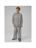 Chlapčenská mikina 4F 4FJRSS26TSWSM2636-27M detská