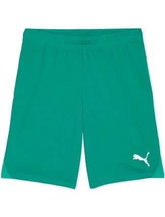 Pánske šortky Puma Team Goal Green 705752 05