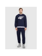Pánske tepláky typu jogger 4F 4FRMM00TTROM1624-31S