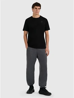 Pánske tepláky typu jogger 4F 4FRMM00TTROM1625-23M