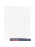 Pánske tričko oversize s potlačou 4F 4FRAW25TTSHM3227-10S