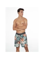 Protest PRTARYF Pánske plážové šortky (P2710621/672)