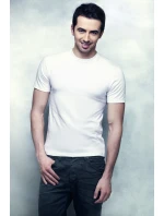 Pánske tričko Alex k / r - TOP-BIS Pánske tričko Alex k / r - TOP-BIS