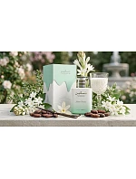 Dámske parfémy Paris Corner Taskeen Lactea Divina 100 ml