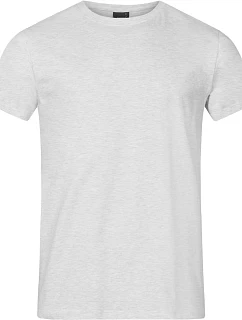 Promodoro 3099 (XS–6XL) Pánske tričko „Premium“ 40.3099 ash