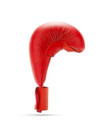 Karate rukavice WKF - nosidlá | XL