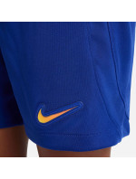 Nike Chelsea FC Junior Football Kit 2023/24 JSY Stadium Home DX2799-496