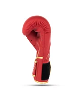 Dámske boxerské rukavice - Rubby Rose | DBX Bushido 12 oz women's Dámske boxerské rukavice - Rubby Rose | DBX Bushido 12 oz women's