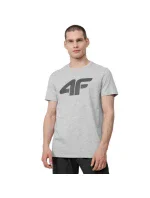 Pánske tričko M H4Z22 TSM353 27M - 4F Pánske tričko M H4Z22 TSM353 27M - 4F