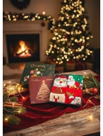 Ponožky WiK M898 Merry Christmas Box A'4 35-46