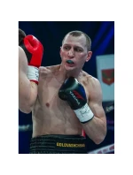 Rukavice Wolf L 8 oz 1005228OZ - Yakimasport