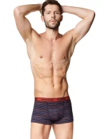 Pánske boxerky Henderson 39321 2pack