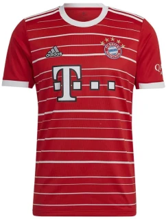 Tričko adidas FC Bayern H Jsy M H39900 men