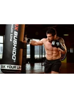 Boxerské rukavice 10oz - Phantom White - Valor Series