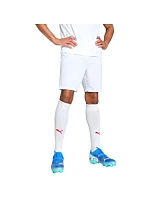 Puma Team Goal pánske šortky biele 705752 04