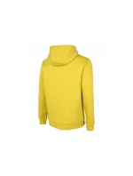 Pánska mikina M H4Z22-BLM023 - 4F