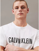 Spodné prádlo Pánske tričká S/S CREW NECK 000NM2567E100 - Calvin Klein