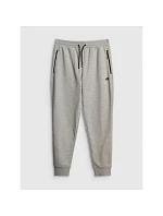 Pánske tepláky typu jogger 4F 4FRMM00TTROM2020-27M