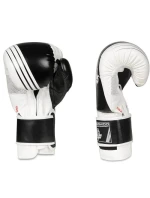 Boxerské rukavice 10oz - Edge - Valor Series