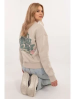 Model mikiny s kapucňou 203486 Podúroveň