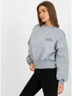 Mikina EM BL ES 21 521 1.93P sivá