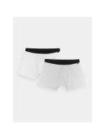 Pánske boxerky (2-pack) 4F 4FWMM00UBXSM059-90S pánske