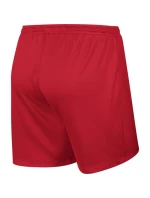 Nike Park Knit Short NB W 833053-657 Futbalové šortky Nike Park Knit Short NB W 833053-657 Futbalové šortky