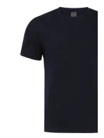 Pánske tričko ALEKSANDER 3XL-4XL Pánske tričko ALEKSANDER 3XL-4XL